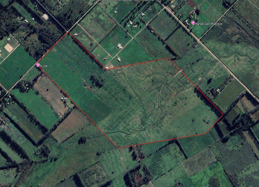 Plano del campo