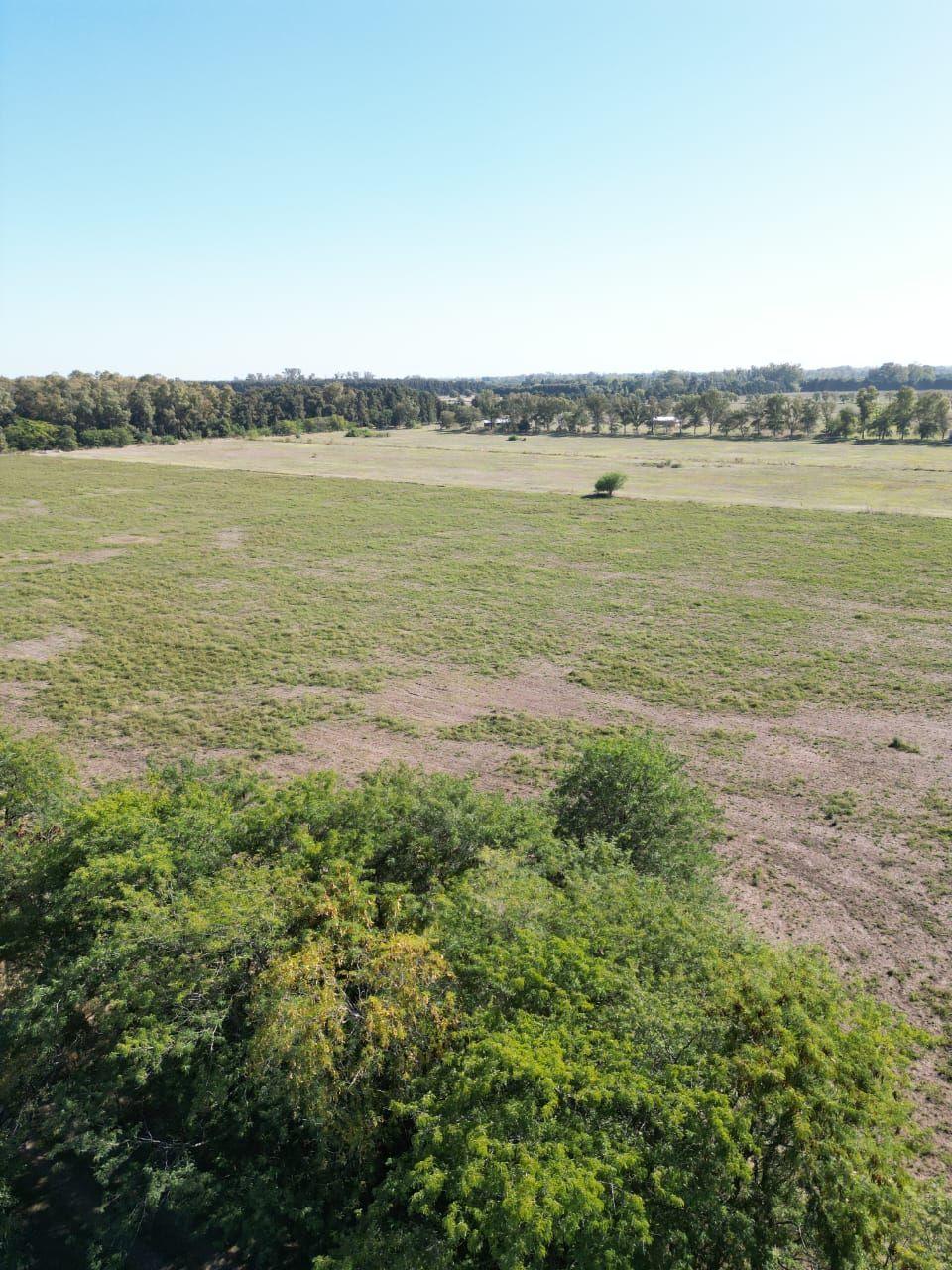 Foto del campo