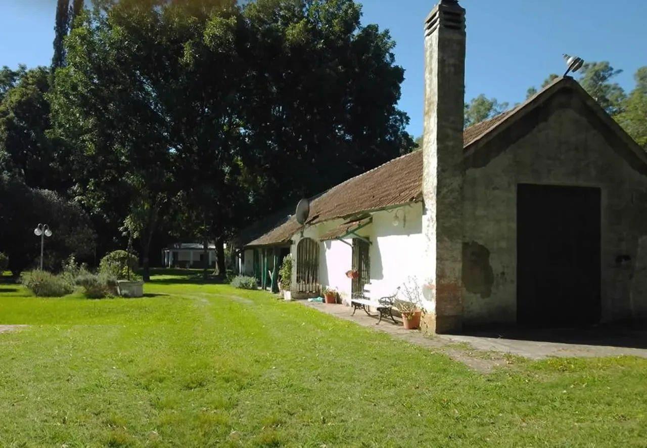 Foto del campo