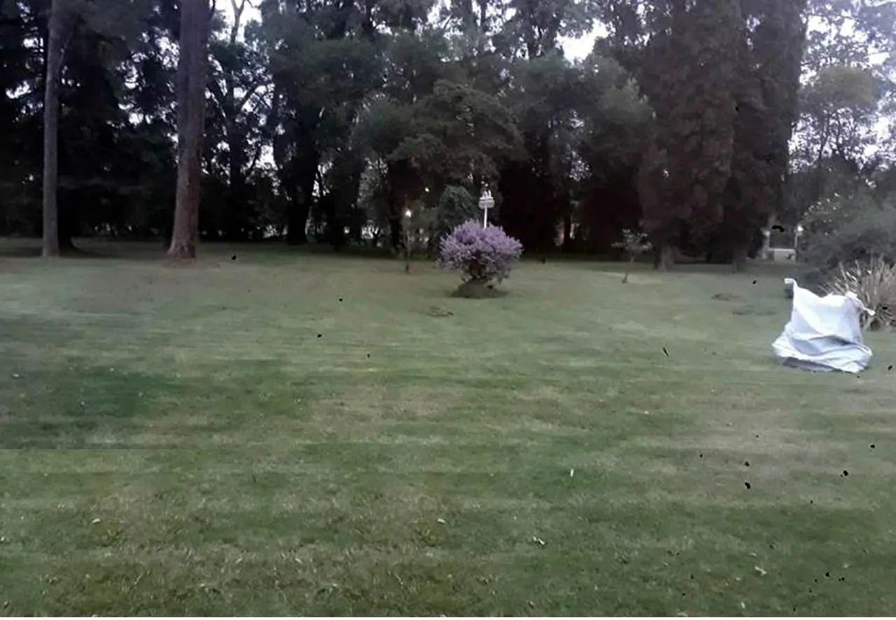 Foto del campo