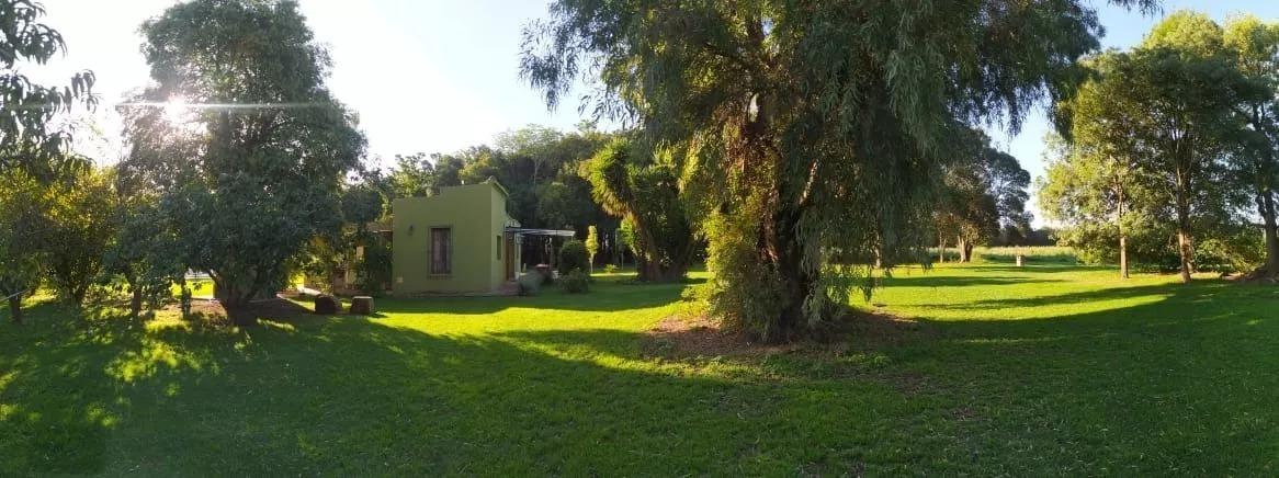 Foto del campo