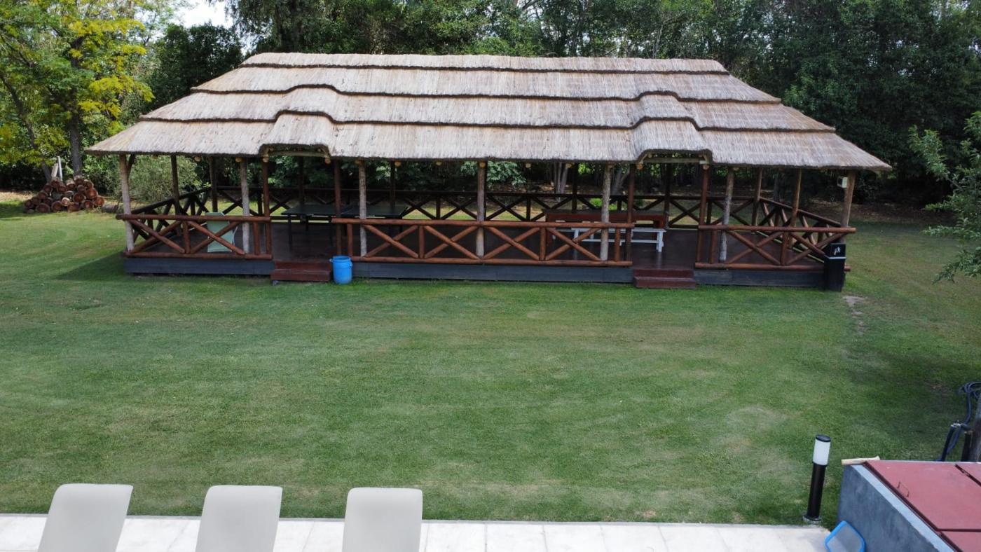 Foto del campo