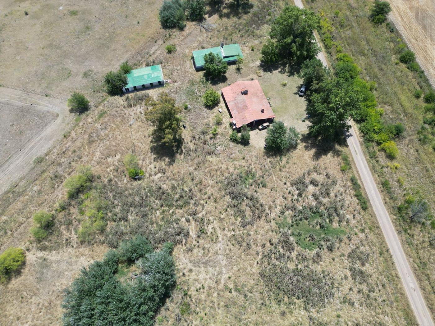 Foto del campo
