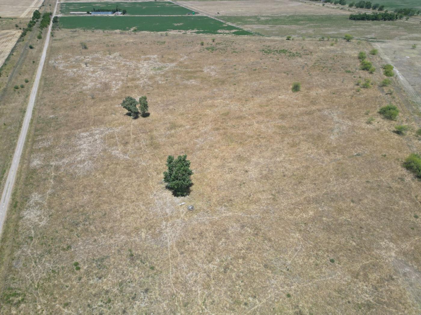 Foto del campo