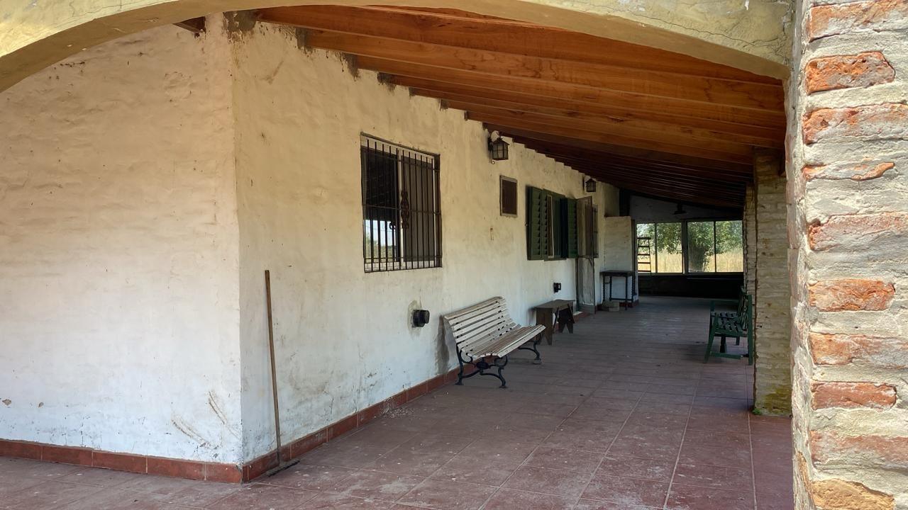 Foto del campo