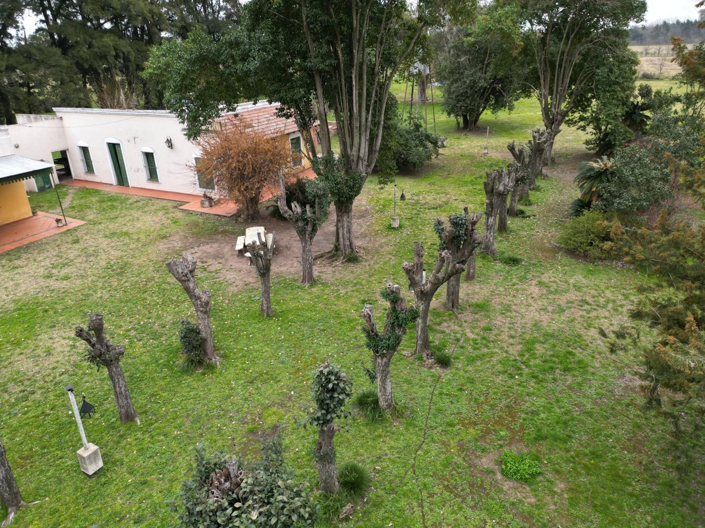 Foto del campo