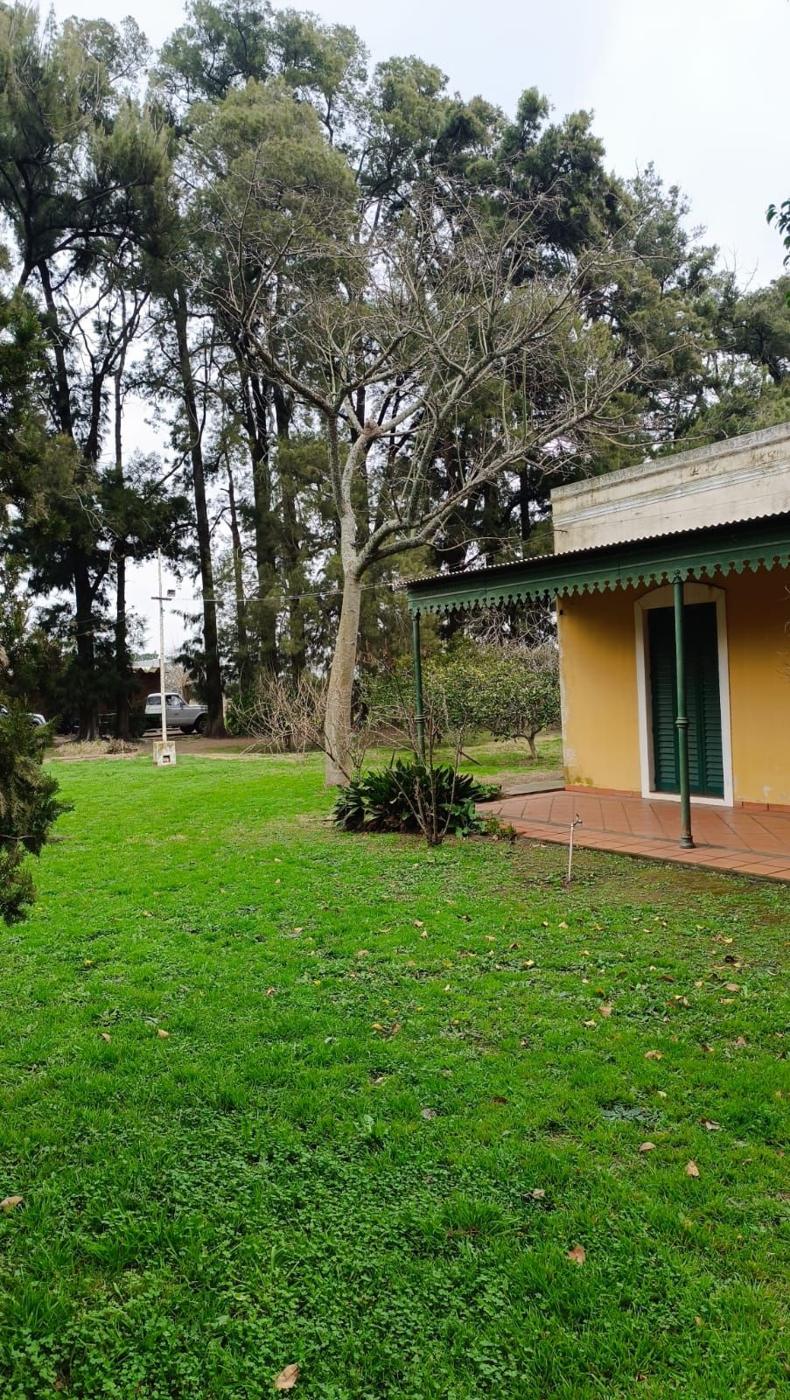 Foto del campo