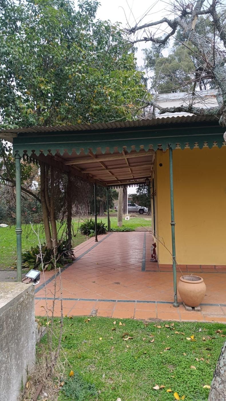 Foto del campo
