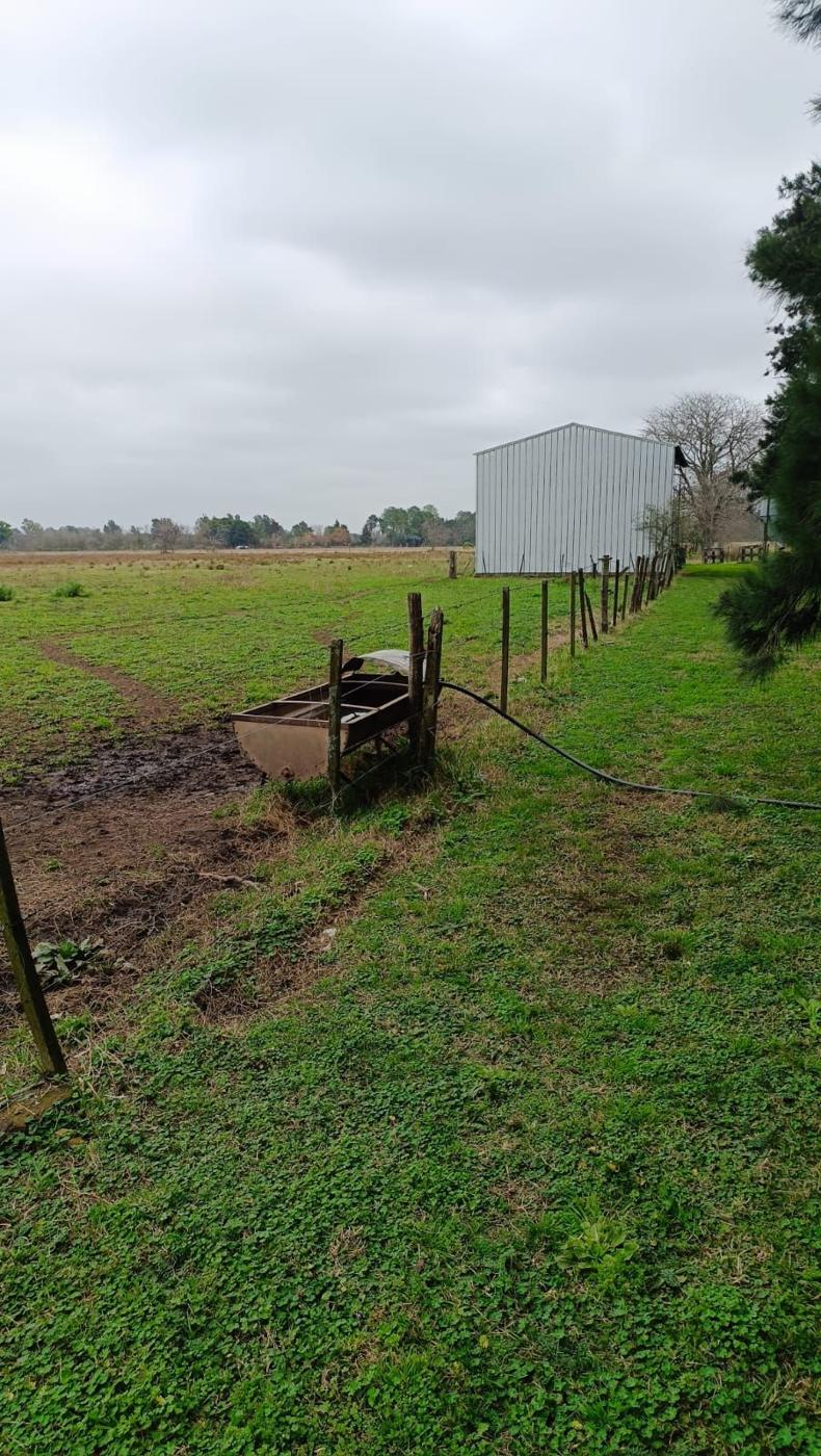 Foto del campo