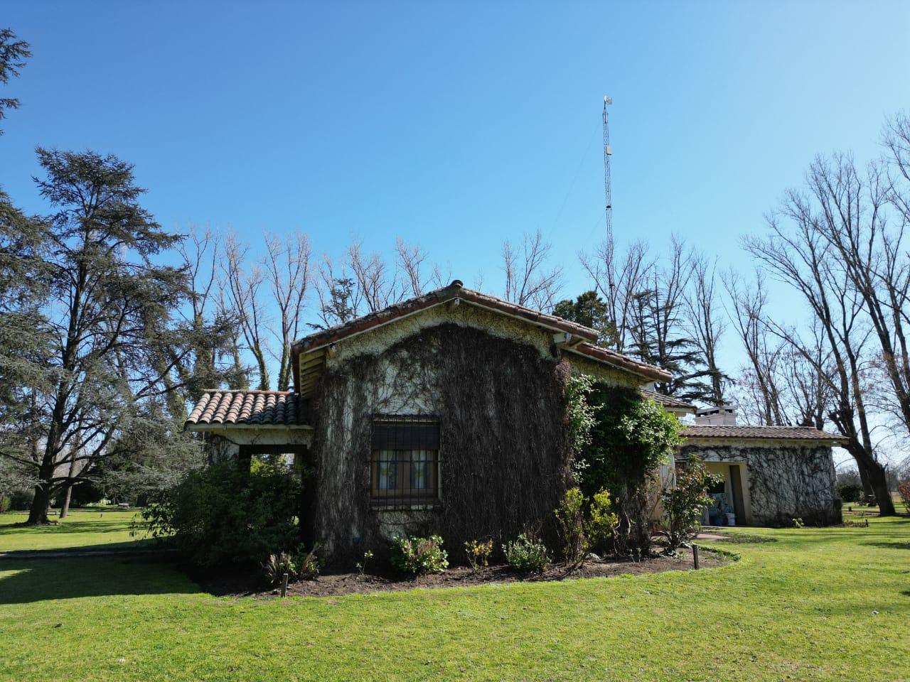 Foto del campo