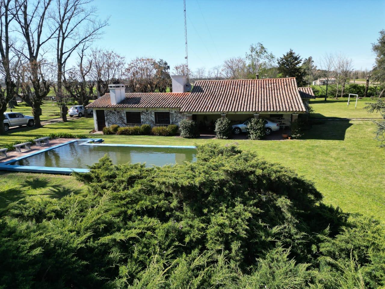 Foto del campo