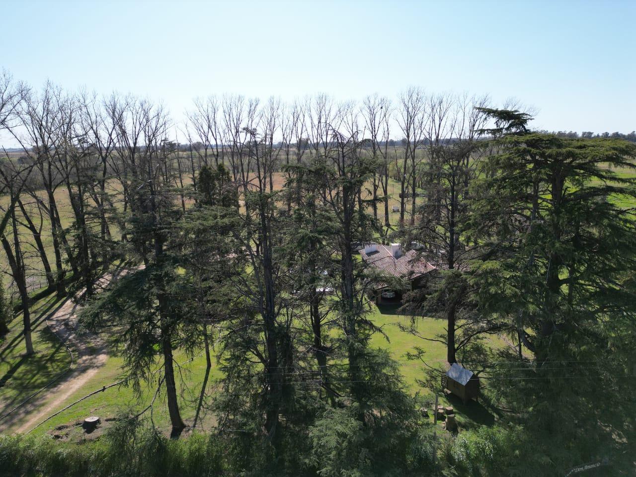 Foto del campo