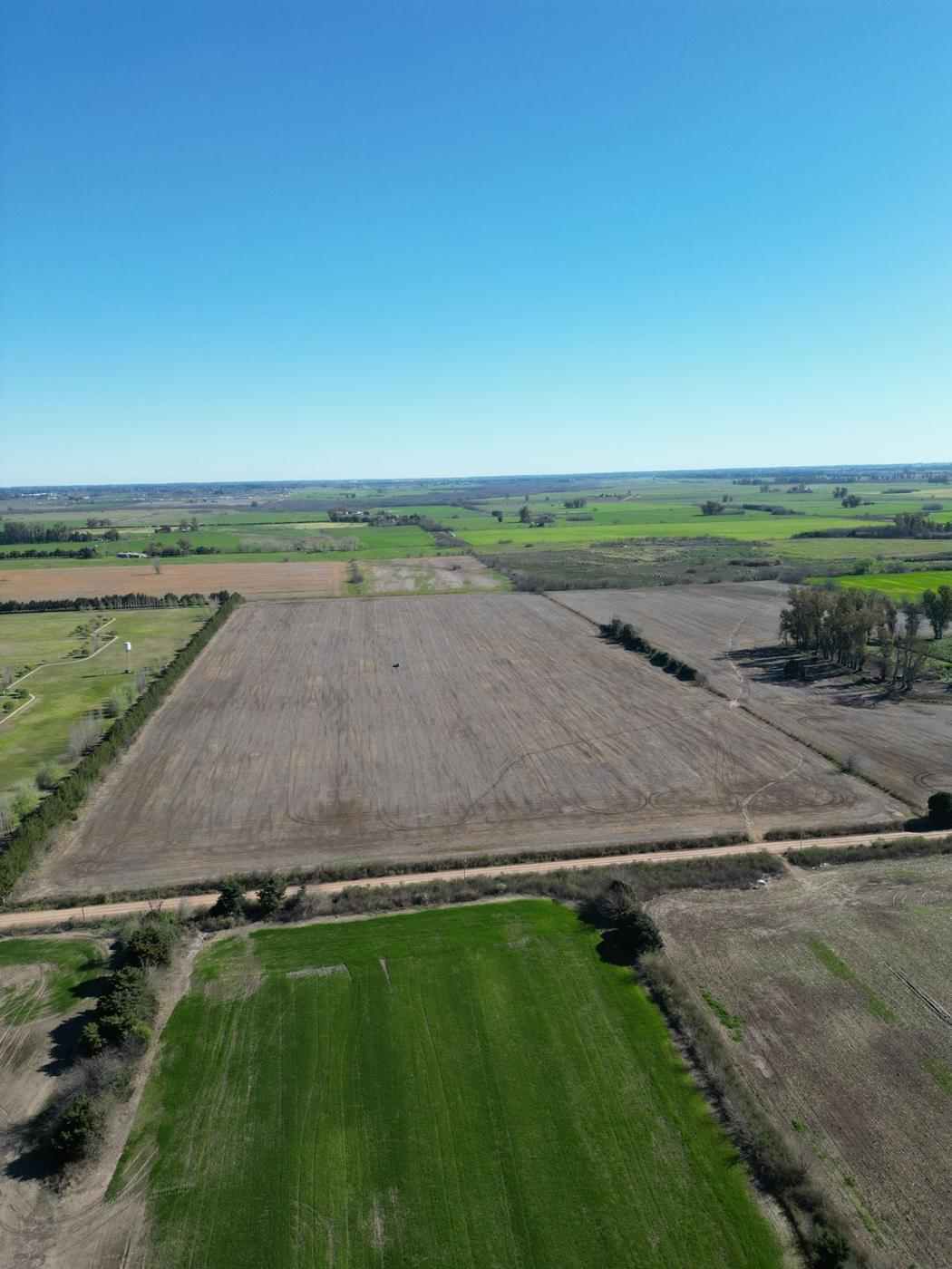 Campo agrícola de 14,5 ha en Goldney