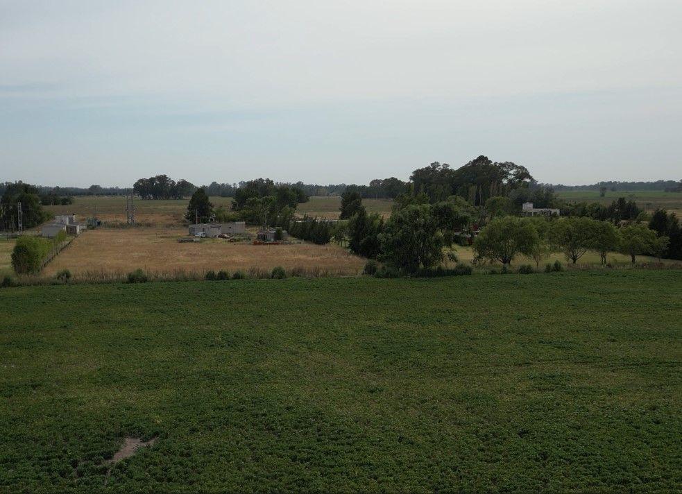 Foto del campo