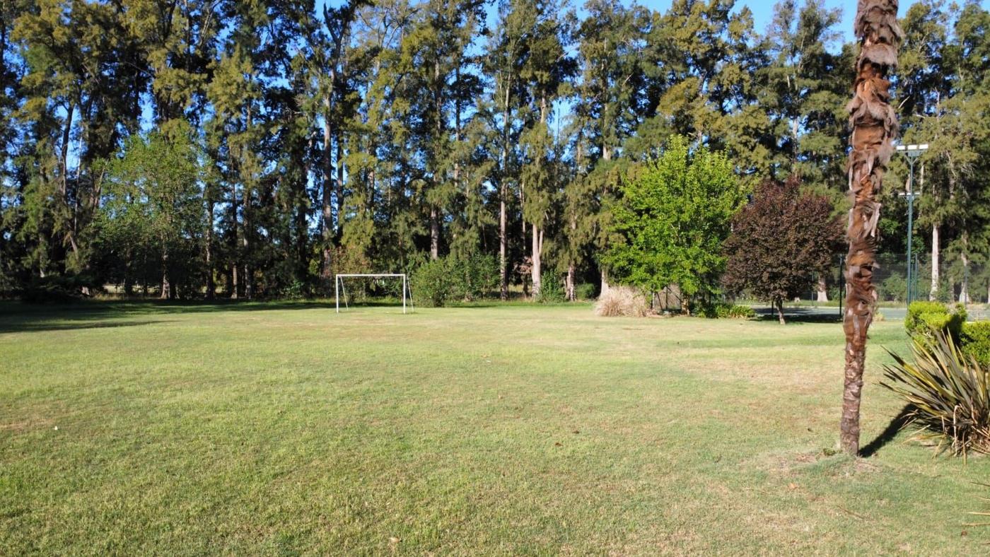 Foto del campo