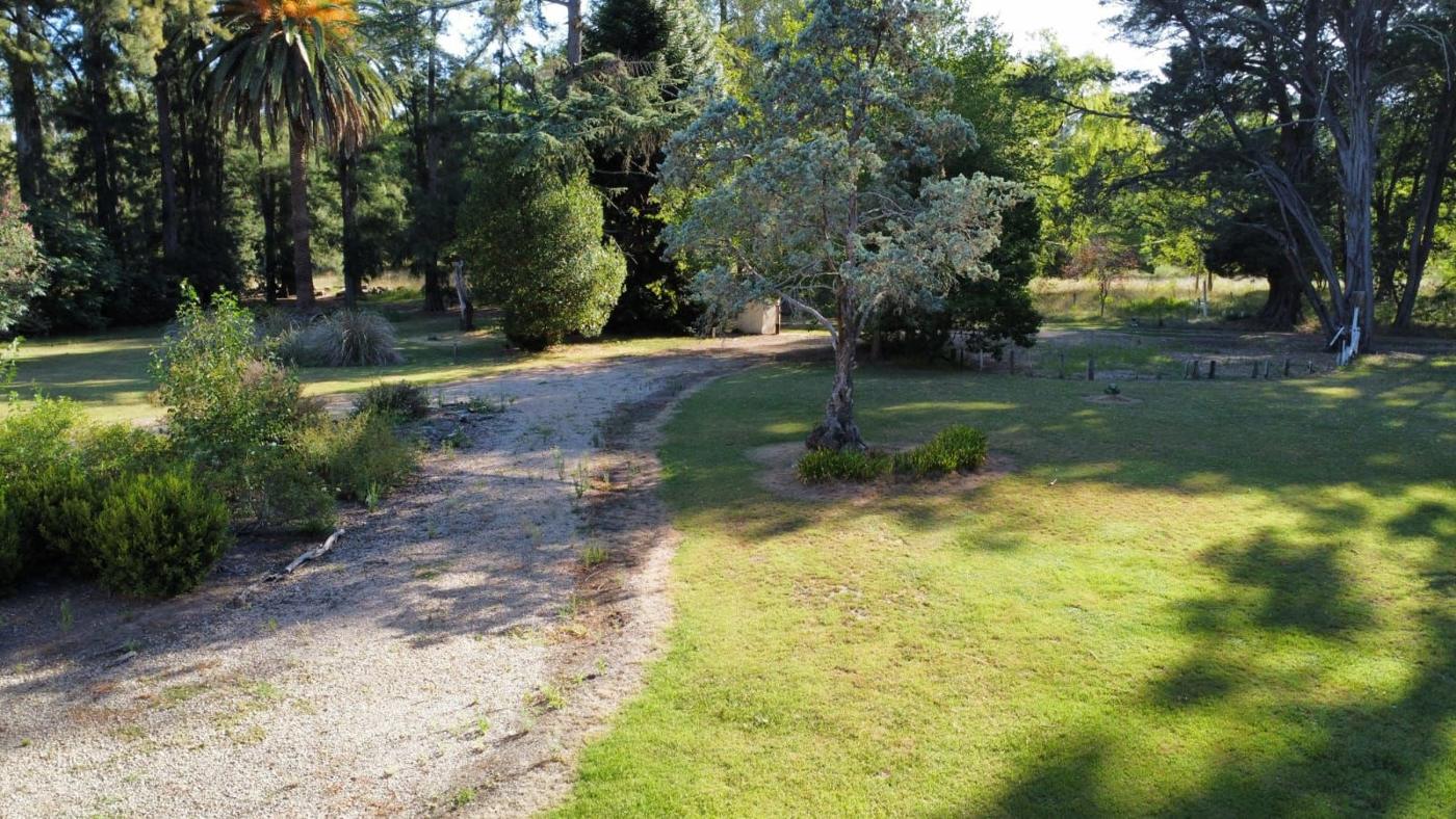 Foto del campo