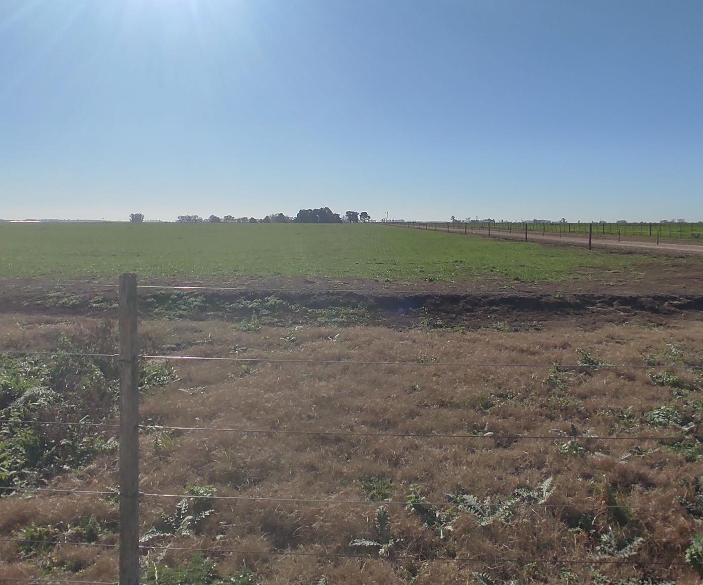 Campo mixto de 91 ha en Tres Sargentos