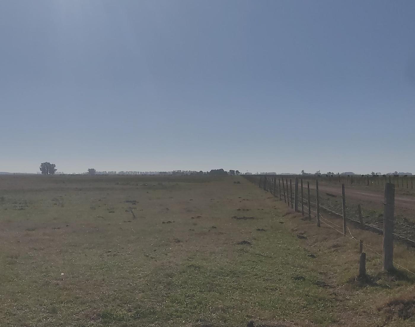 Foto del campo