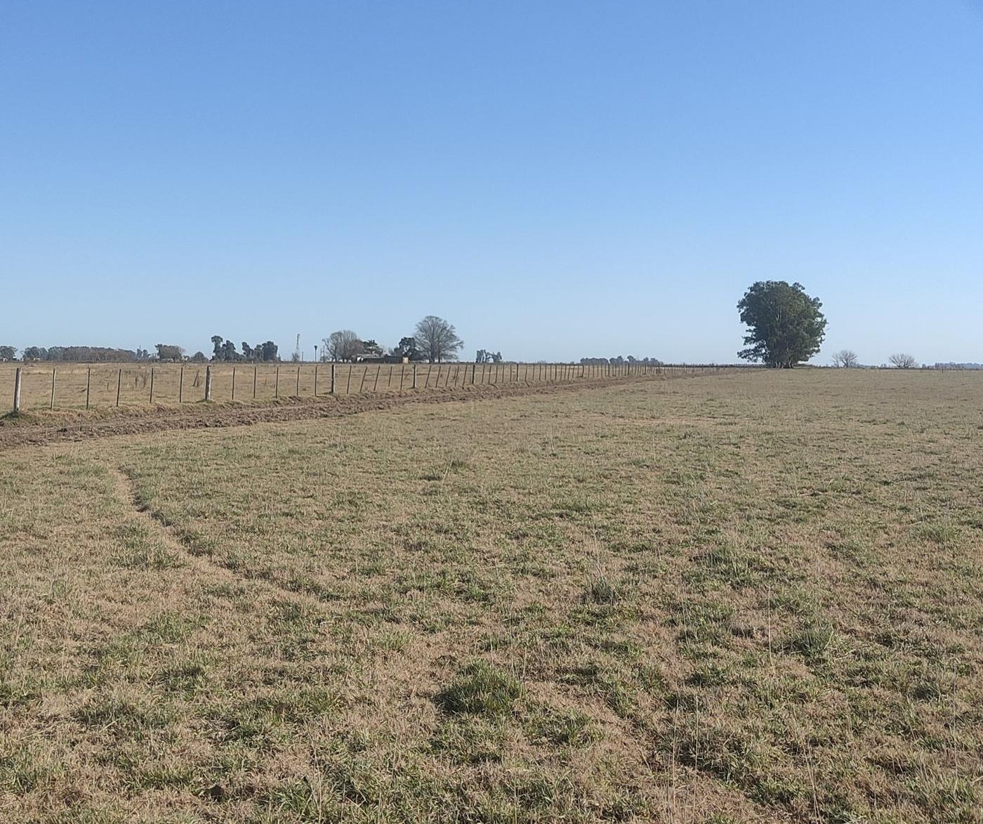 Foto del campo