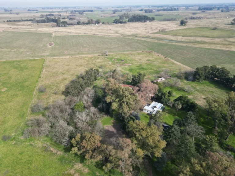 D_NQ_NP_2X_661752-MLA91036965141_082025-F