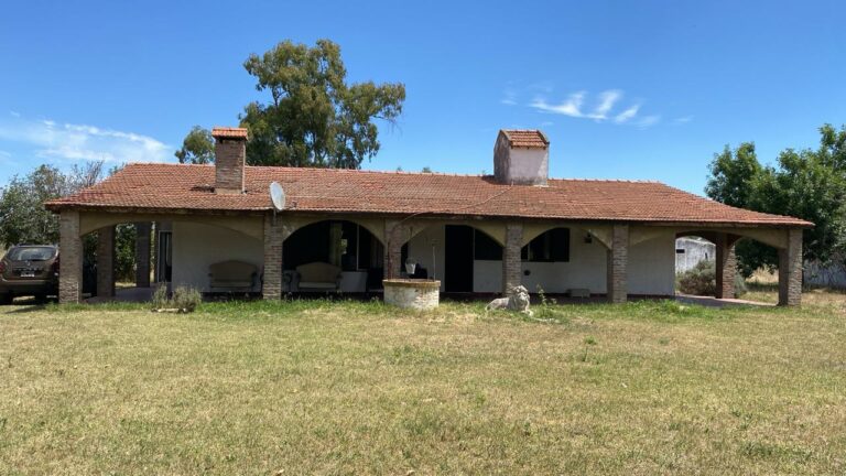 WhatsApp Image 2025-01-06 at 14.58