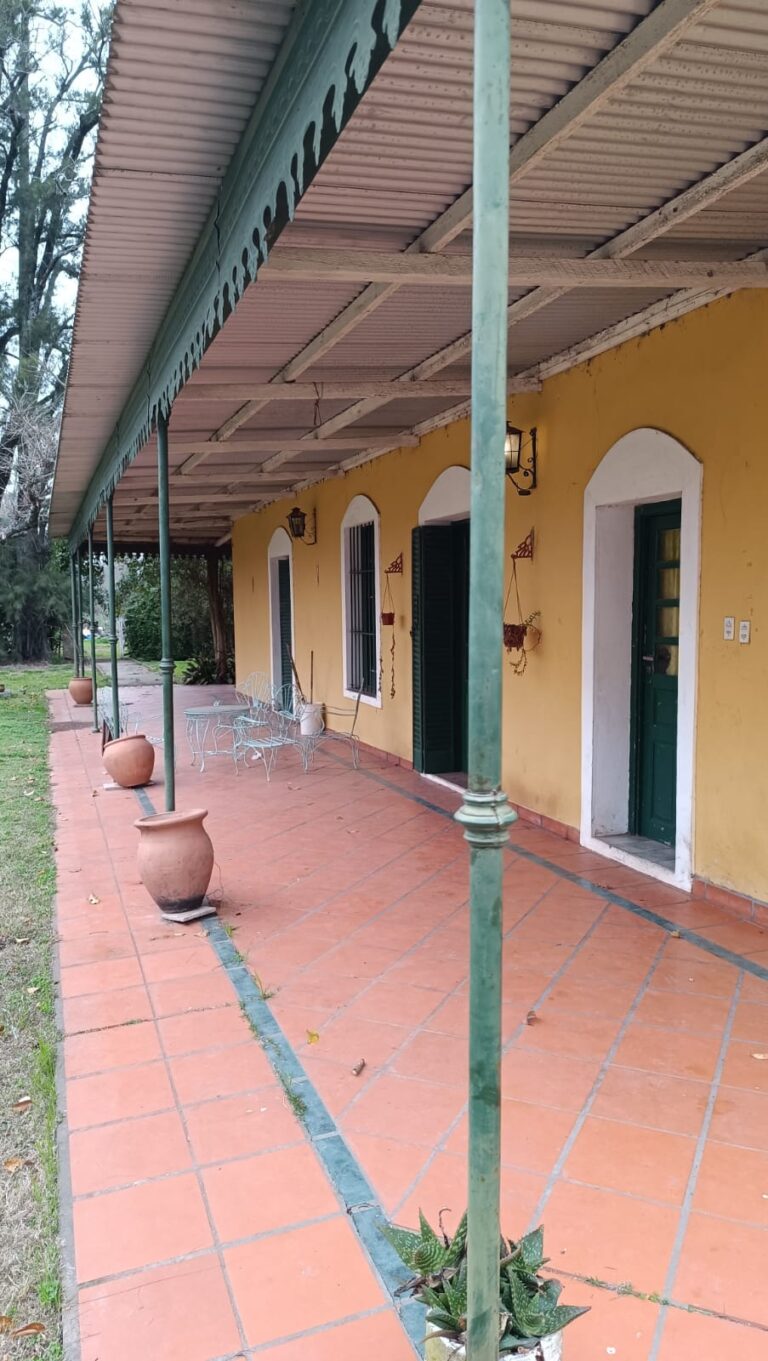 WhatsApp Image 2025-10-14 at 15.04