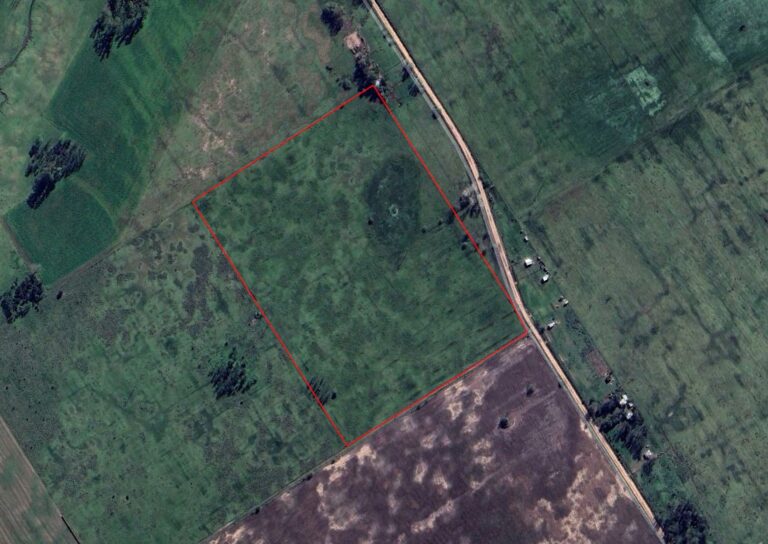 Captura de pantalla 2025-11-01 120002